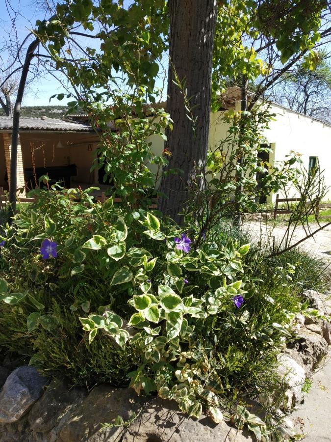 Camping Yaso-Guara Εξωτερικό φωτογραφία